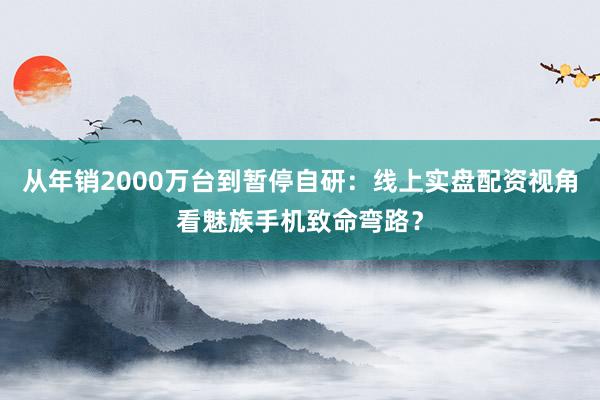 从年销2000万台到暂停自研：线上实盘配资视角看魅族手机致命弯路？