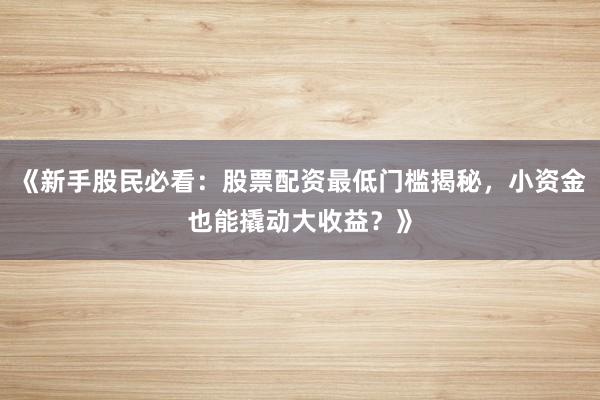 《新手股民必看：股票配资最低门槛揭秘，小资金也能撬动大收益？》