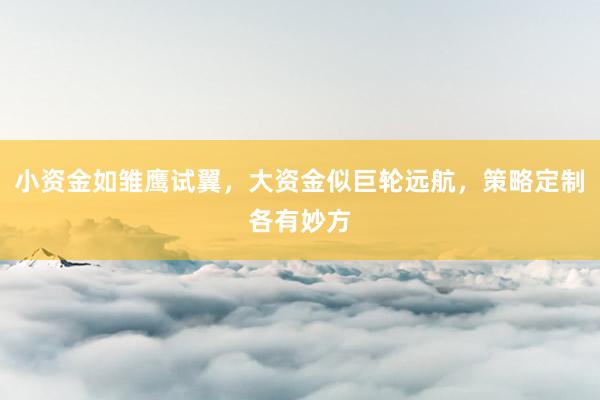小资金如雏鹰试翼，大资金似巨轮远航，策略定制各有妙方