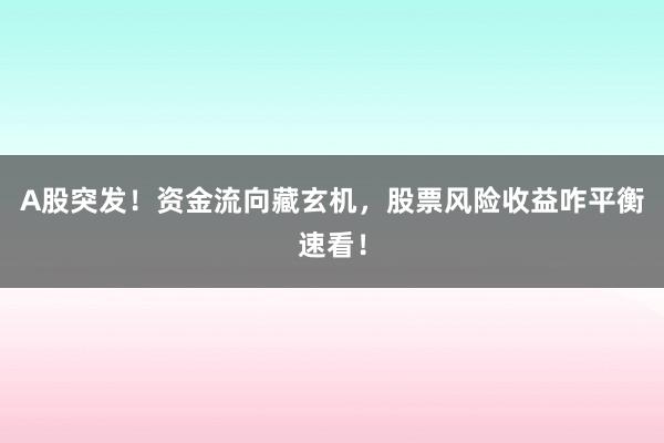 A股突发！资金流向藏玄机，股票风险收益咋平衡速看！
