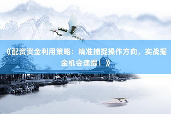 《配资资金利用策略：精准捕捉操作方向，实战掘金机会速提！》