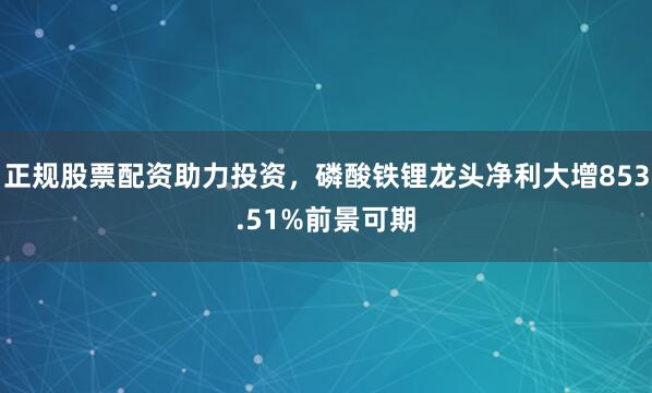 正规股票配资助力投资，磷酸铁锂龙头净利大增853.51%前景可期