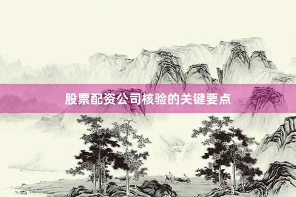 股票配资公司核验的关键要点