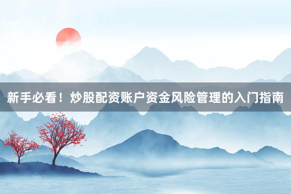 新手必看！炒股配资账户资金风险管理的入门指南