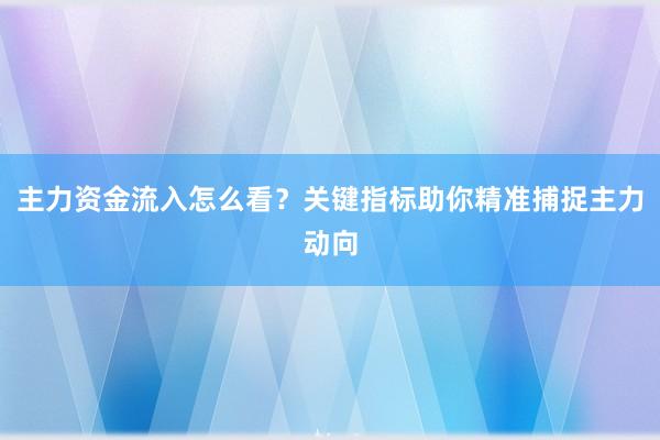主力资金流入怎么看?关键指标助你精准捕捉主力动向